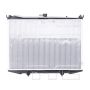 TYC Products 314 Radiator Assemb