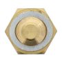MotoRad 1TS1126 Engine Coolant Temperature Sensor with Washer
