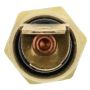 MotoRad 1TS1224 Temperature Sender With Gauge and O-Ring