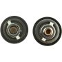 MotoRad 427457 Thermostat Kit-180 & 203 Degrees w/ Gasket and Seals