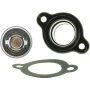 MotoRad 4909KT Thermostat Kit-195 Degrees w/ Gasket