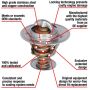 MotoRad 7242-170 Fail-Safe Thermostat-170 Degrees