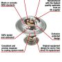 MotoRad 7242-180 Fail-Safe Thermostat-180 Degrees