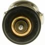 MotoRad 821-190 Thermostat Insert- 190 Degrees w/ Seal