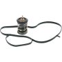 MotoRad 973-221 Thermostat Insert- 221 degrees w/ Seals