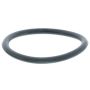 MotoRad MG21 Engine Coolant Thermostat Seal