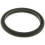 MotoRad MG29 Engine Coolant Thermostat Seal Pack of 10