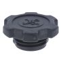 MotoRad MO110 Engine Oil Filler Cap
