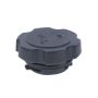 MotoRad MO141 Engine Oil Filler Cap
