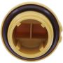MotoRad MO209 Engine Oil Filler Cap