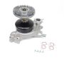 US Motor Works MCK1054 Engine Water Pump and Fan Clutch