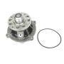 US Motor Works US85 International / Navistar VT365 Navistar V8 Diesel 02-07