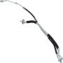 Universal Air Conditioning HA 113842C A/C Suction and Liquid Line Hose Assembly -- Suction and Liquid Line