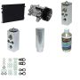 Universal Air Conditioning KT 4823A A/C System Seal Kit