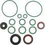 Universal Air Conditioning RS 2564 A/C System Seal Kit -- Rapid Seal Oring Kit