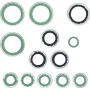 Universal Air Conditioning RS 2719 A/C System Seal Kit -- Rapid Seal Oring Kit
