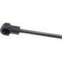 URO Parts 1299800664 Trunk Strut