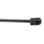 URO Parts 1569800164 Hatch Strut