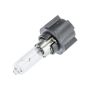 URO Parts 63217207528 Tail Light Bulb Socket w/ Bulb