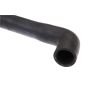 URO Parts C2N1174 Radiator Hose