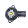 URO Parts CY0720875 Thermostat Assembly