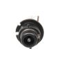 URO Parts D2S Xenon Headlight Bulb
