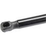 URO Parts FD0816550 Trunk Strut