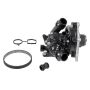 VEMO V15-99-2115 Engine Timing Belt