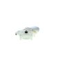 VEMO V20-05-3013 Electric Motor, window lift