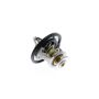 VEMO V20-99-1281 Thermostat, coolant