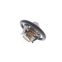 VEMO V25-99-1707 Thermostat, coolant