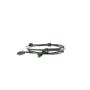VEMO V38-72-0181 Sensor, wheel speed