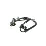 VEMO V52-72-0181 Sensor, wheel speed