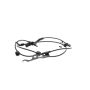 VEMO V70-72-0419 Sensor, wheel speed