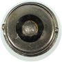 WAGNER LIGHTING 1003 Standard Multi-Purpose Light Bulb Box of 10