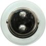WAGNER LIGHTING 1154 Standard Multi-Purpose Light Bulb Box of 10
