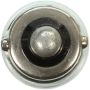 WAGNER LIGHTING 1445 Standard Multi-Purpose Light Bulb Box of 10