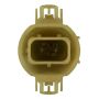 WAGNER LIGHTING 2504 Standard Multi-Purpose Light Bulb Box of 1