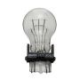 WAGNER LIGHTING 3057 Standard Multi-Purpose Light Bulb Box of 10