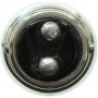 WAGNER LIGHTING 3496 Standard Multi-Purpose Light Bulb Box of 10
