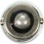 WAGNER LIGHTING 53 Standard Multi-Purpose Light Bulb Box of 10