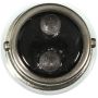 WAGNER LIGHTING 68 Standard Multi-Purpose Light Bulb Box of 10