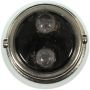 WAGNER LIGHTING BP1004LL Long Life Multi-Purpose Light Bulb Box of 10