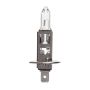 WAGNER LIGHTING BP1255/H1 Standard Multi-Purpose Light Bulb Card of 1