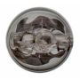 WAGNER LIGHTING BP161LL Long Life Multi-Purpose Light Bulb Box of 10