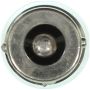 WAGNER LIGHTING BP67 Standard Multi-Purpose Light Bulb Card of 2