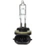 WAGNER LIGHTING BP894 Standard Multi-Purpose Light Bulb Card of 1