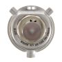 WAGNER LIGHTING BP9003 Standard Multi-Purpose Light Bulb Card of 1
