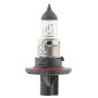 WAGNER LIGHTING BP9008 Standard Multi-Purpose Light Bulb Card of 1