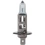 WAGNER LIGHTING BPH1TVX2 TRUVIEW Multi-Purpose Light Bulb Card of 2